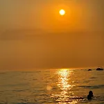 Sole Sole